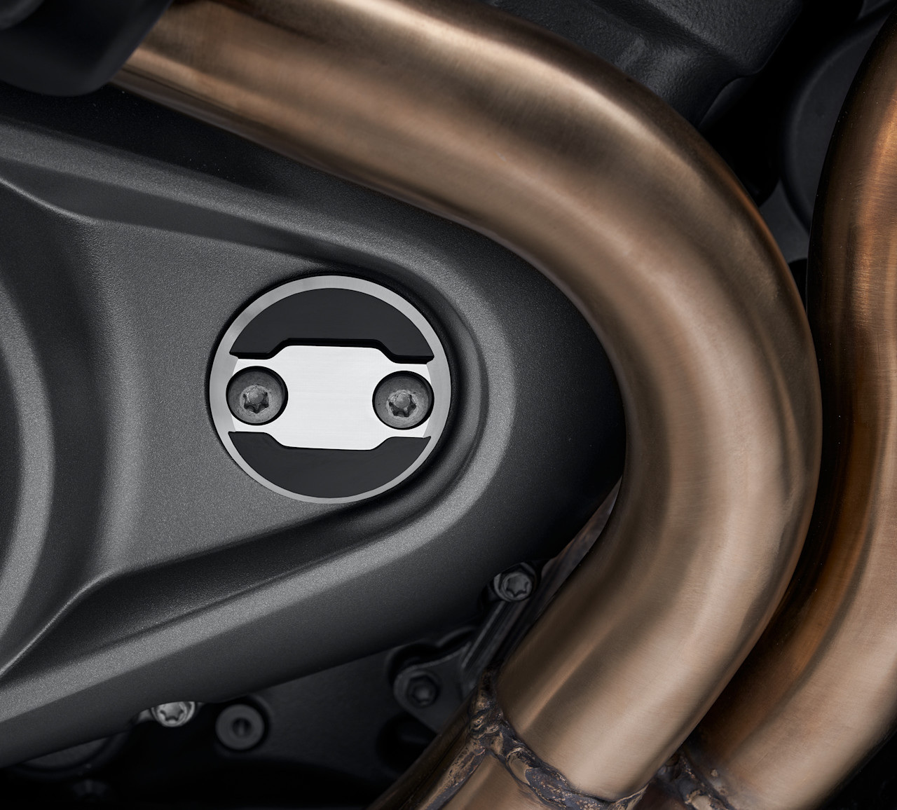 Harley-Davidson Accessories Wild One Timer Medallion