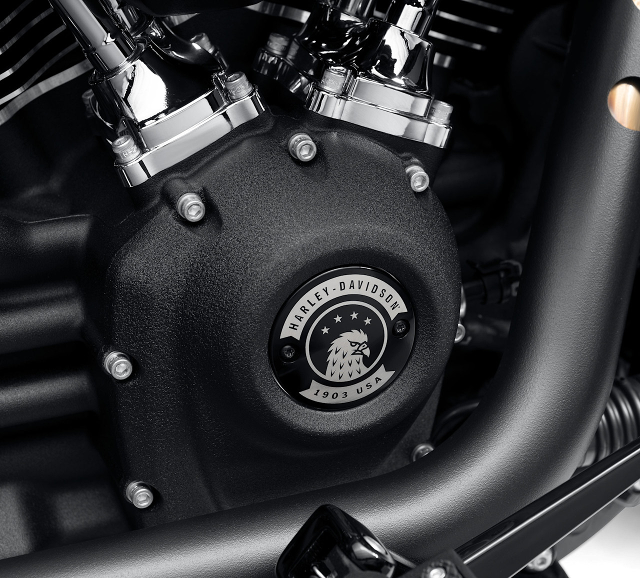 Harley-Davidson Accessories Eagle Bar & Shield Timer Cover