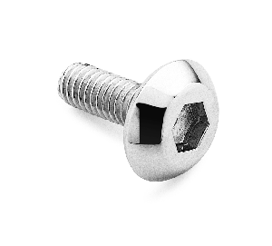 Air Cleaner Screw