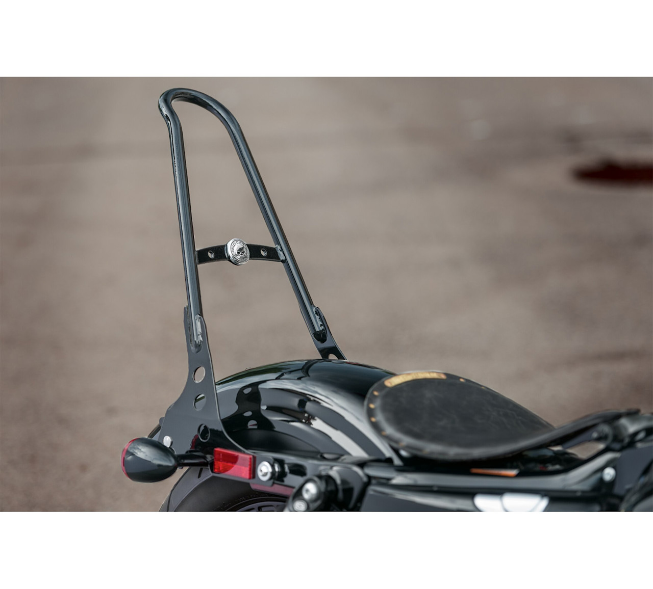 Harley-Davidson Accessories One-Piece H-D Detachables Sissy Bar Upright