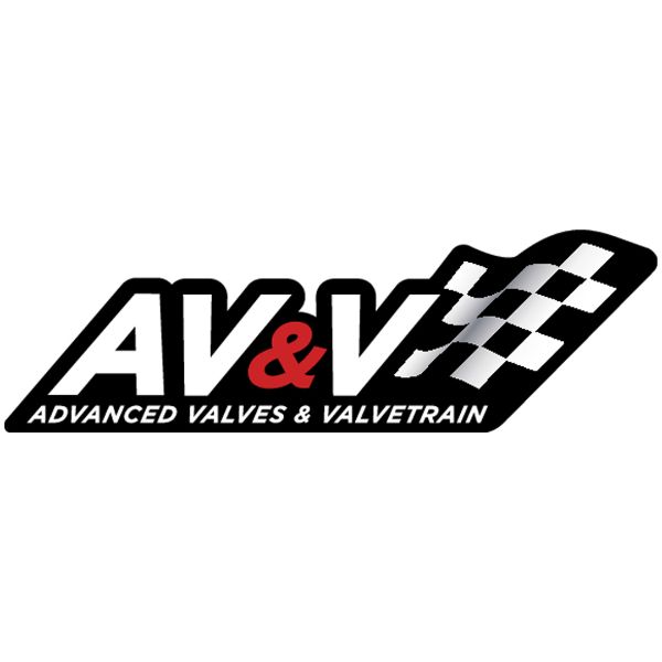 AV&V