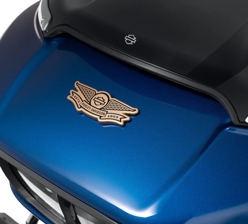 Harley-Davidson Accessories Display a touch of attitude with the Gold Winged Bar & Shield Decorative Medallion. Ideal for application on a plate-style sissy bar upright, derby cover, timer cover, Tour-Pak luggage carrier or saddlebag, glove box or chrome battery cover. It also looks great on a tool box or tailgate. The quality adhesive backing on this premium zinc die cast medallion allows for easy and secure installation on most flat surfaces. Size: 1.9" x 4.7".