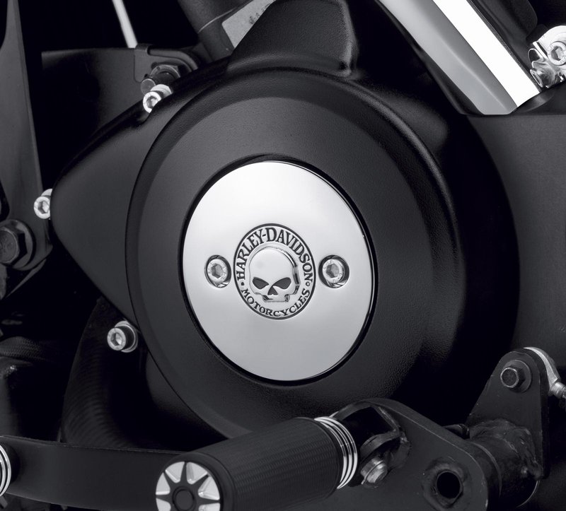 Harley-Davidson Accessories Add a little attitude to your ride. A menacing raised skull with black-filled eyes leaps from a field of chrome. The surrounding "Harley-Davidson® Motorcycles" script is the perfect finishing touch. Left Side Medallion. Easy to install. Chrome finish.