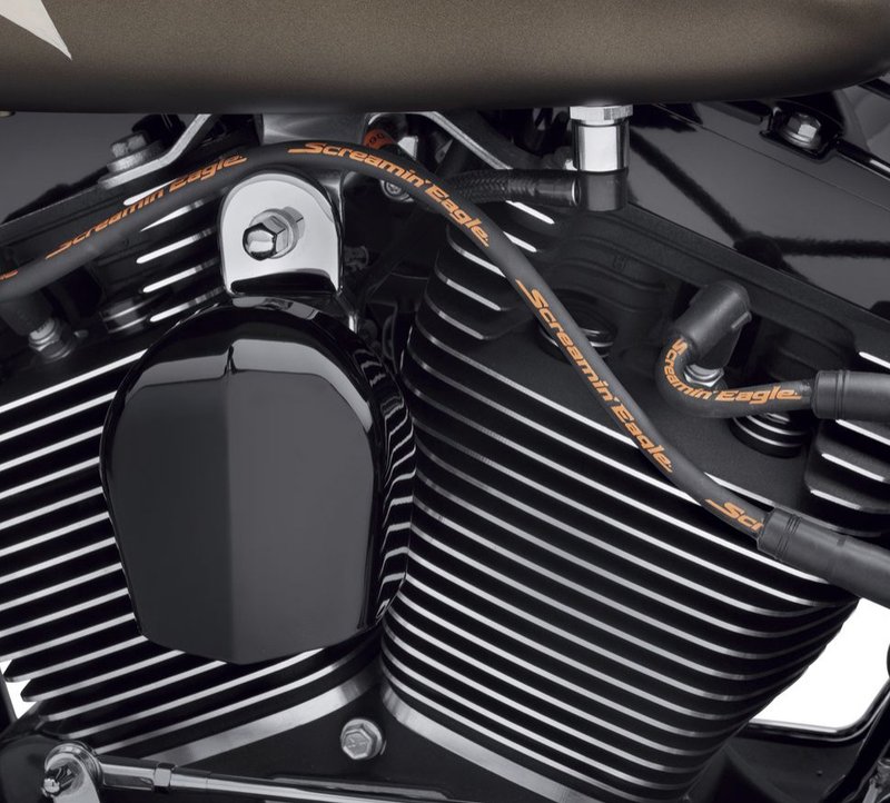 Harley-Davidson Accessories Fat 10mm plug wires add dimension and style to your ride. Screamin' Eagle boot design and suppression core wires ensure a solid connection and maximum voltage transfer between coil and plugs. Black Screamin' Eagle script printed along the wire to add style. Sold as a set.