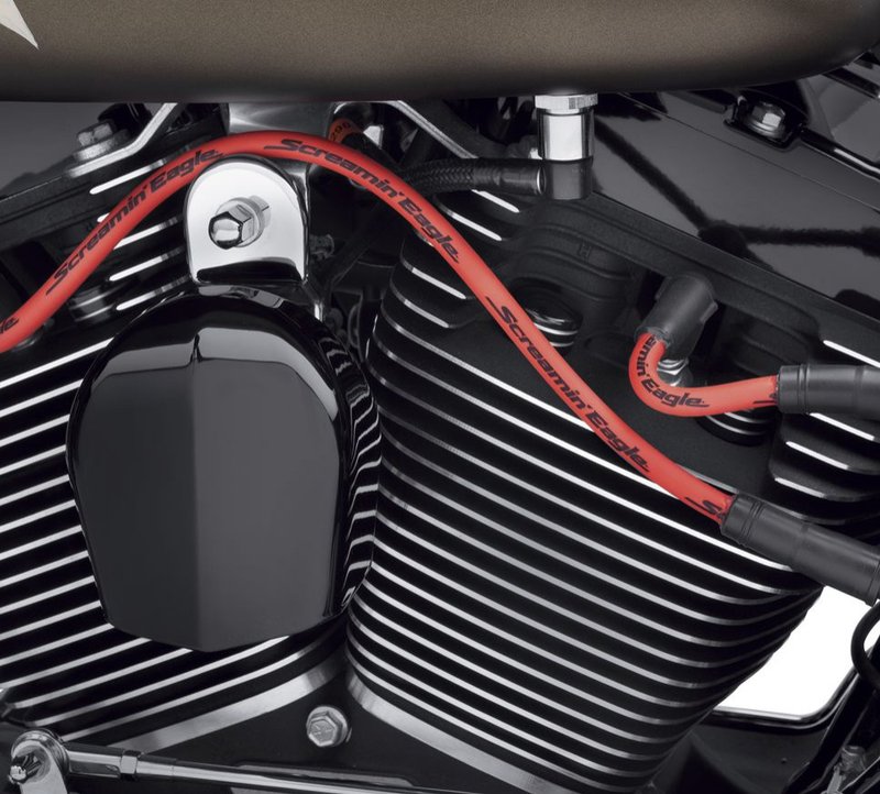 Harley-Davidson Accessories Fat 10mm plug wires add dimension and style to your ride. Screamin' Eagle boot design and suppression core wires ensure a solid connection and maximum voltage transfer between coil and plugs. Red Screamin' Eagle script printed along the wire to add style. Sold as a set.