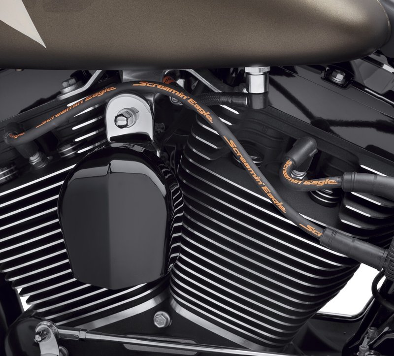 Harley-Davidson Accessories Fat 10mm plug wires add dimension and style to your ride. Screamin' Eagle boot design and suppression core wires ensure solid connection and maximum voltage transfer between coil and plugs. "Screamin' Eagle" logo printed along wire to add style. Sold as a pair.