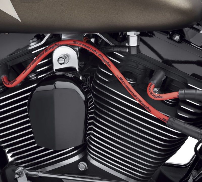 Harley-Davidson Accessories Fat 10mm plug wires add dimension and style to your ride. Screamin' Eagle boot design and suppression core wires ensure a solid connection and maximum voltage transfer between coil and plugs. "Screamin' Eagle" logo printed along the wire to add style. Red. Sold as a pair.