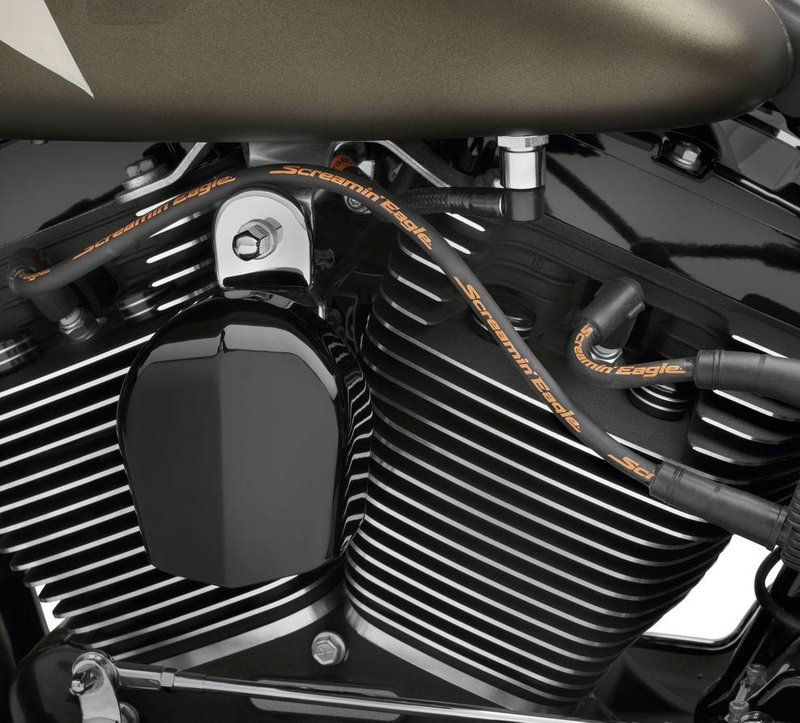 Harley-Davidson Accessories Fat 10mm plug wires add dimension and style to your ride. Screamin' Eagle boot design and suppression core wires ensure solid connection and maximum voltage transfer between coil and plugs. "Screamin' Eagle" logo printed along wire to add style. Black. Sold as a pair.