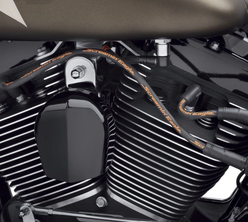 Harley-Davidson Accessories Fat 10mm plug wires add dimension and style to your ride. Screamin' Eagle boot design and suppression core wires ensure solid connection and maximum voltage transfer between coil and plugs. "Screamin' Eagle" logo printed along wire to add style. Black. Sold as a pair.