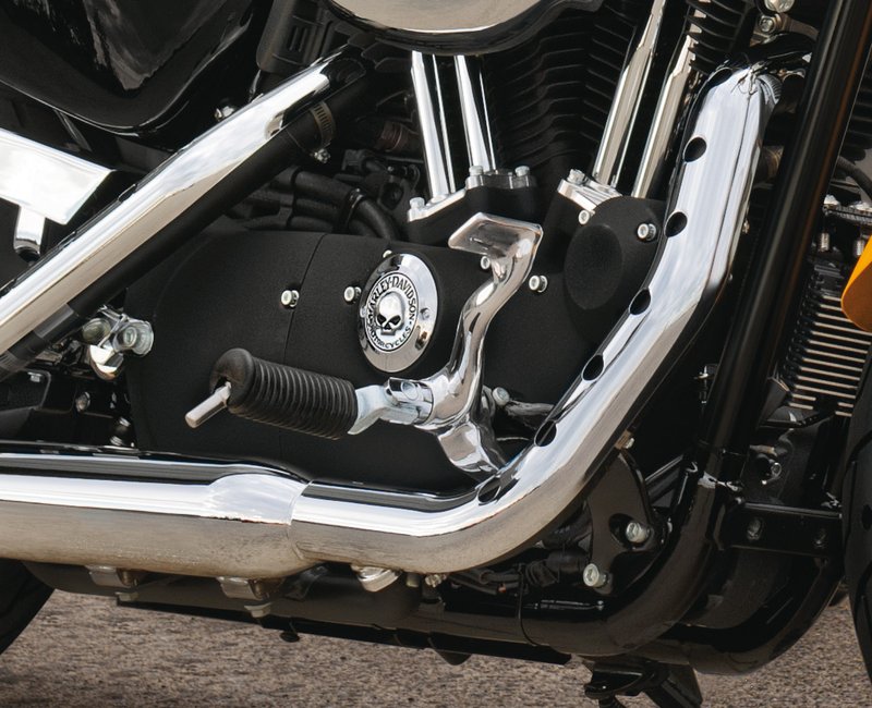 Harley-Davidson Accessories Willie G Skull Timer Cover in chrome. Add a little attitude to your ride - the menacing raised skull with black-filled eyes leaps from a field of chrome. The surrounding "Harley-Davidson Motorcycles" script is the perfect finishing touch, and this complete collection of engine covers dresses your bike for a true custom look. Includes chrome-plated stainless steel mounting hardware. Complete the look with additional accessories from the Harley-Davidson Willie G Skull Collection.