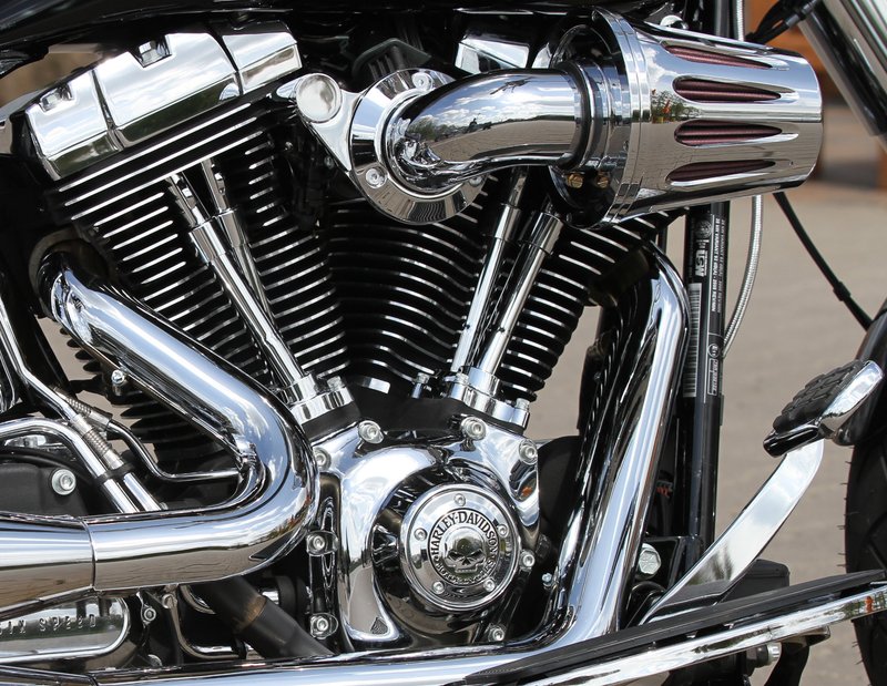 Harley-Davidson Accessories Willie G Skull Timer Cover in chrome. Add a little attitude to your ride. Styled to complement Harley-Davidson Skull accessory items, the menacing raised skull with black-filled eyes leaps from a field of chrome. The surrounding "Harley-Davidson Motorcycles" script is the perfect finishing touch, and this complete collection of engine covers dresses your bike for a true custom look. Includes chrome-plated stainless steel mounting hardware. Sold each. Complete the look with additional accessories from the Harley-Davidson Willie G Skull Collection.