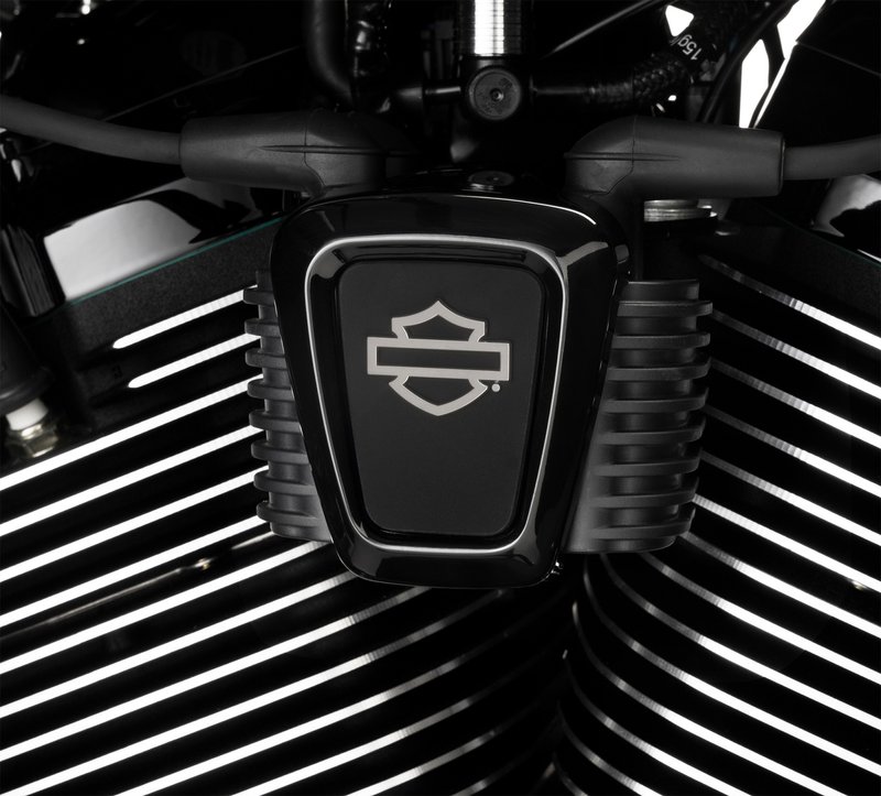 Harley-Davidson Accessories Coil Cover Bar & Shield in black. Add some edgy custom detail and express big attitude with contrasting style. Durable die-cast aluminium with a rich black finish.