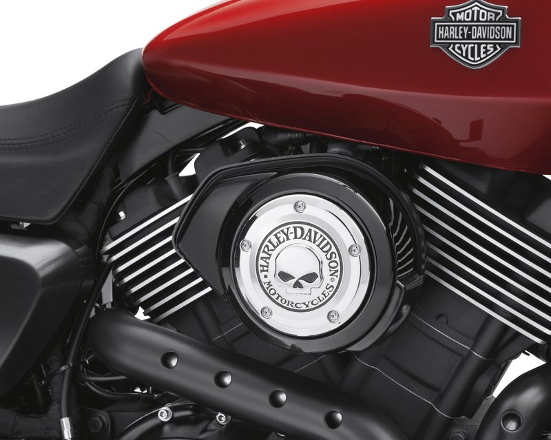 Harley-Davidson Accessories Willie G Skull Air Cleaner Trim, Chrome