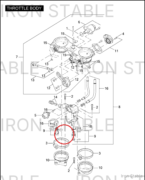 Harley-Davidson Clamp, Hose