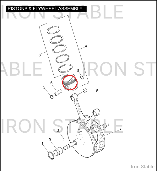 Harley-Davidson Piston & Ring Kit, Std