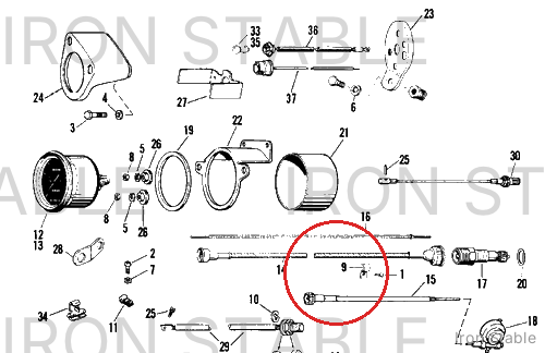Harley-Davidson Screw, Self Tap