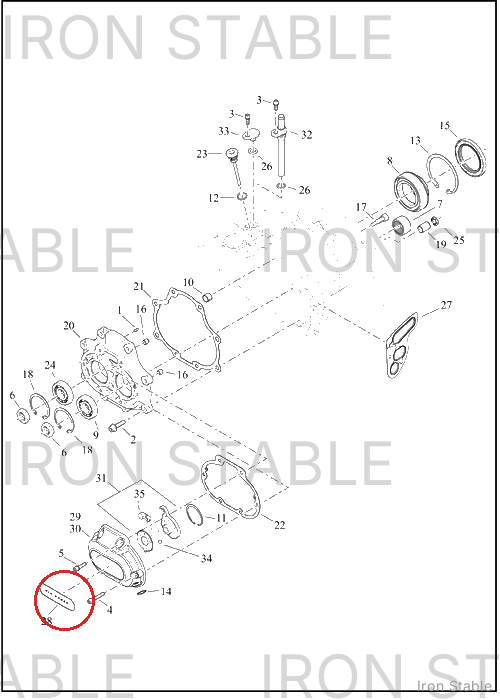 Harley-Davidson Insert, Trans Sd Cover, Six Spe