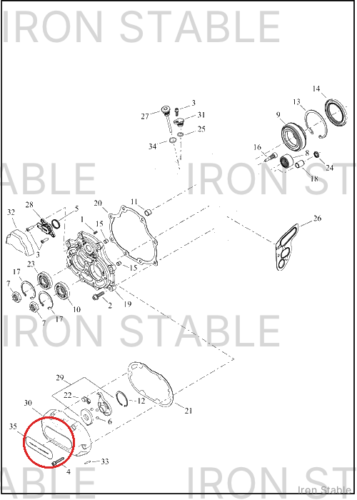 Harley-Davidson Pt Cover Misc Component, Xmsn Side Cv