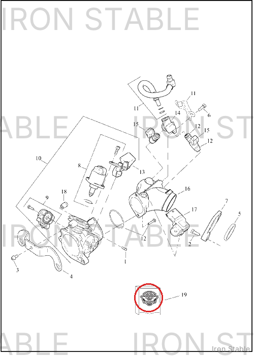 Harley-Davidson Throt Body-Intk Sub-Component, Rstr