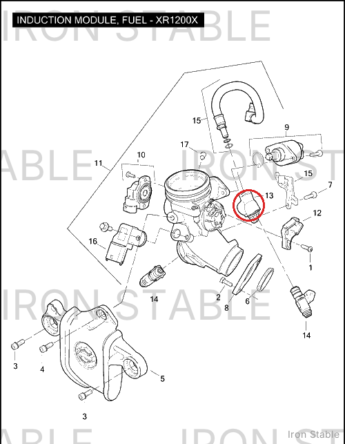 Harley-Davidson Fuel Rail