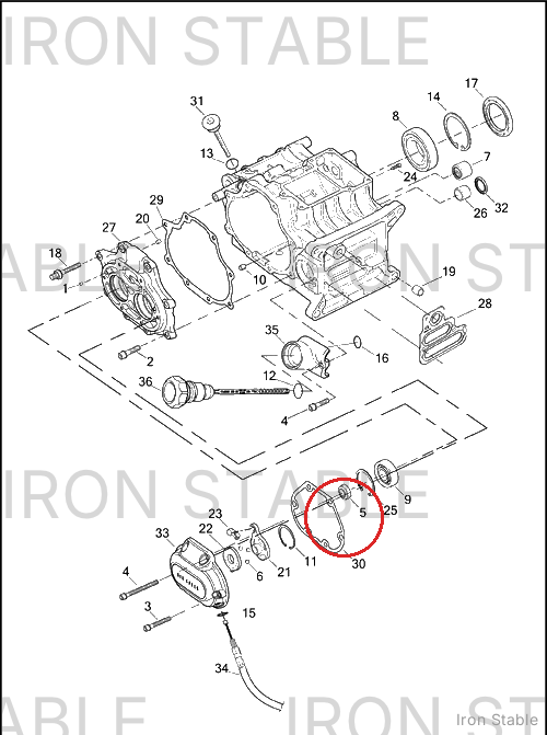 Harley-Davidson Gasket, Cover, X