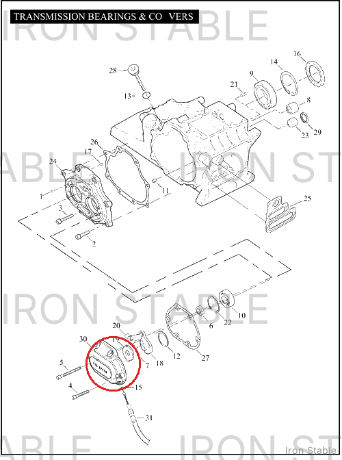 Harley-Davidson Cover, Trans Sd/Pol'shd