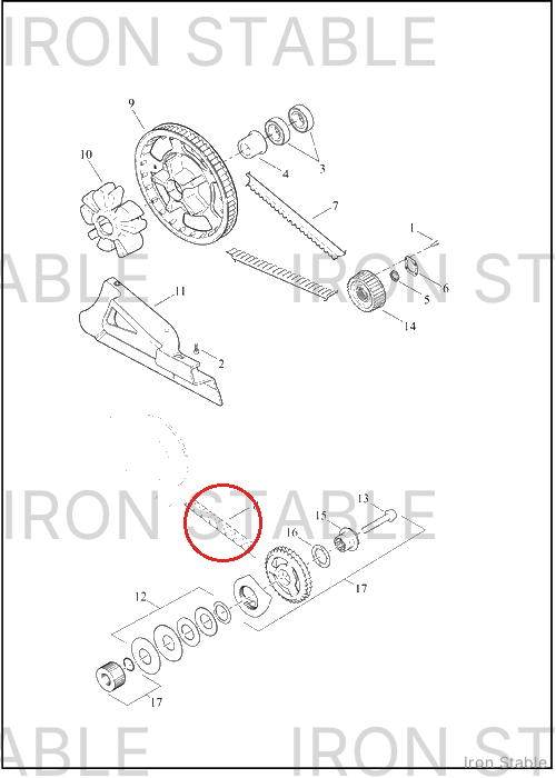 Harley-Davidson Chain, Pri, Drv