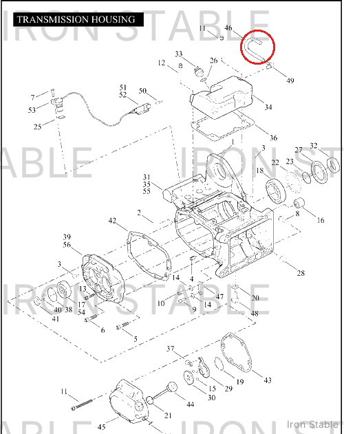 Harley-Davidson Vent Hose, Trans