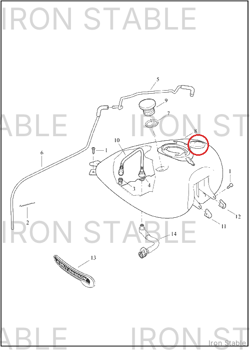 Harley-Davidson Tank, Fuel, Pnstrp, W/Medallions