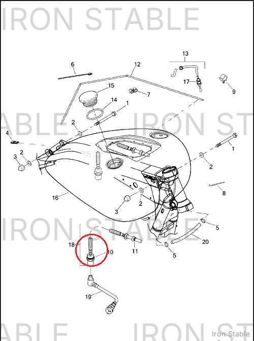 Harley-Davidson Fuel Line, Body