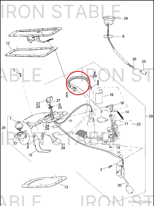 Harley-Davidson Hose, Pump-To-Filter
