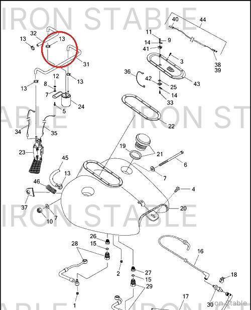 Harley-Davidson Hose, Fuel Pump