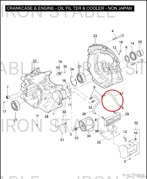 Harley-Davidson Hose, Lh, Oil Cooler
