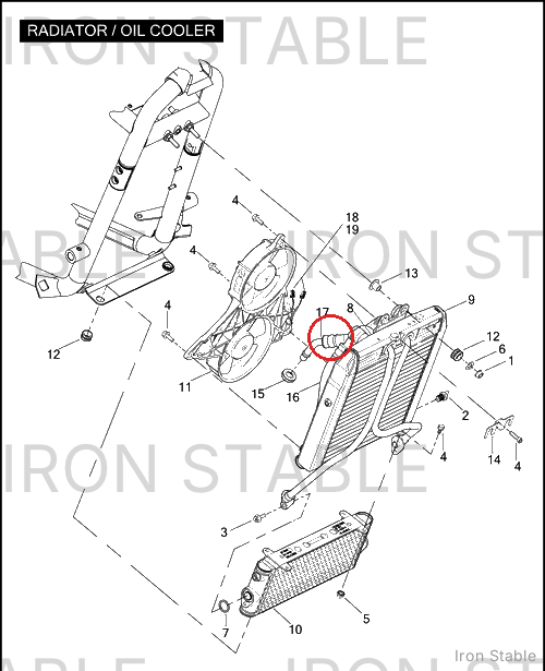 Harley-Davidson Hose Assembly, Outlet/Oil Cooler(Po)