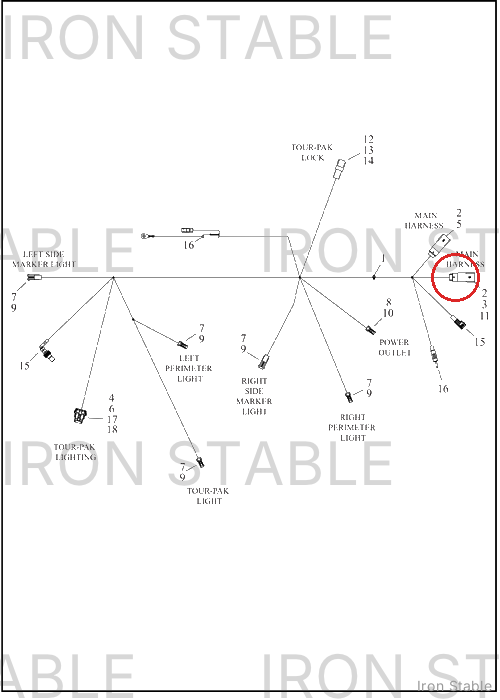 Harley-Davidson Wire Harness, T-Pak