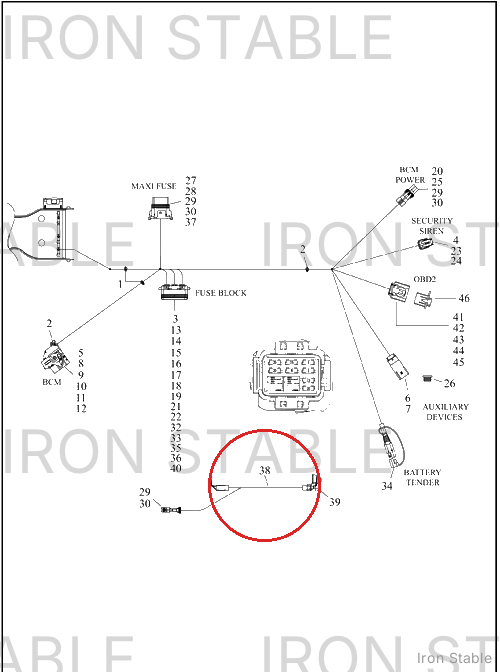 Harley-Davidson Wire Harn Sub-Component, Pos Cable