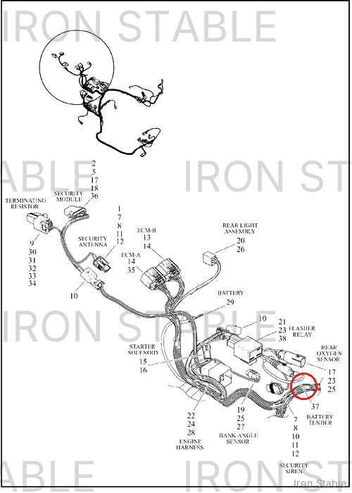 Harley-Davidson Connector, Battery Tender