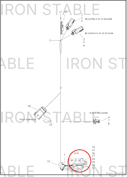Harley-Davidson Connector, Housing, 81-Way