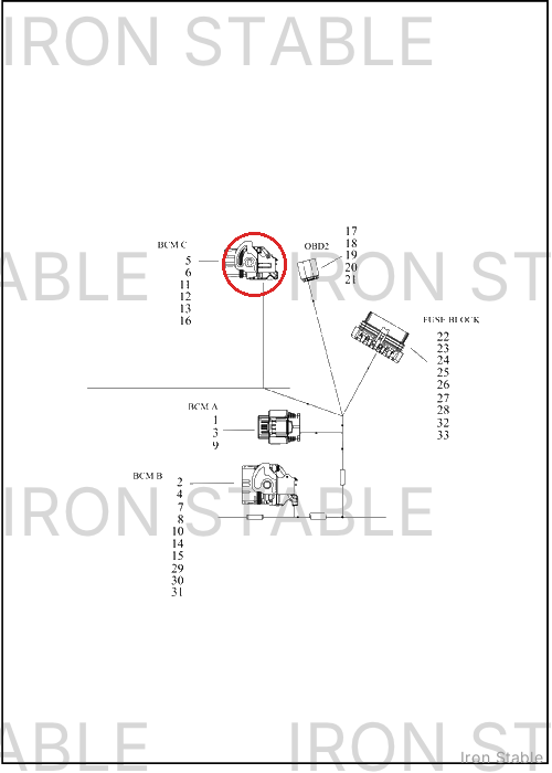 Harley-Davidson Wire Harn Sub-Component, Connector