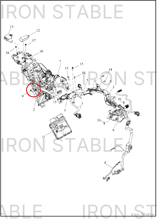 Harley-Davidson Wire Harn Sub-Component, Bcm Caddy