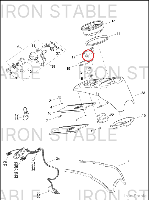 Harley-Davidson Bezel, Indicator