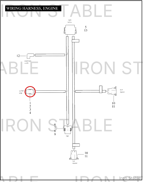 Harley-Davidson Wire Harness, Engine