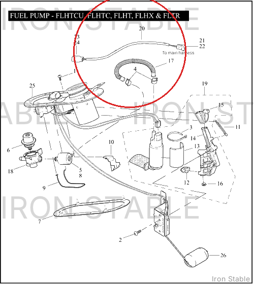 Harley-Davidson Harness, Fuel Sndr/Pump Assembly