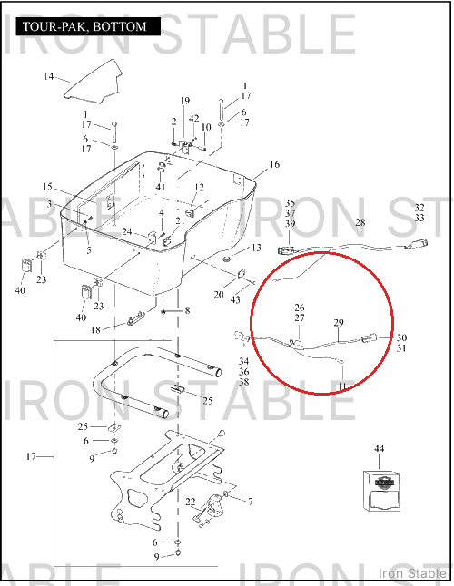 Harley-Davidson Wire Harness, Detach, T-Pak