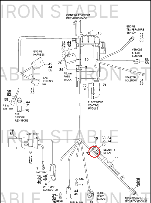 Harley-Davidson Dustcap, Siren Connector