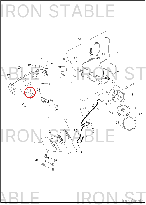 Harley-Davidson Stud, Female, Antenna(Po)