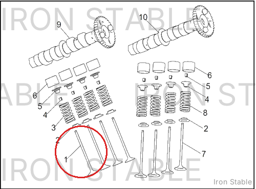 Harley-Davidson Intake Valve