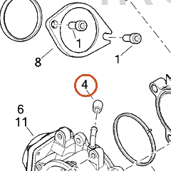 Harley-Davidson Plug, Purge Tube Cap