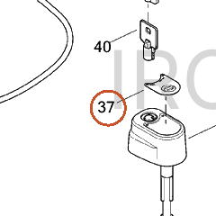 Harley-Davidson Decal, Ign Switch