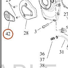 Harley-Davidson Medallion, Cam Cover